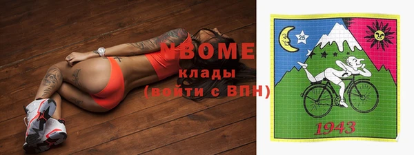прущие грибы Абинск