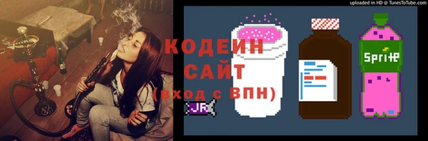 прущие грибы Абинск
