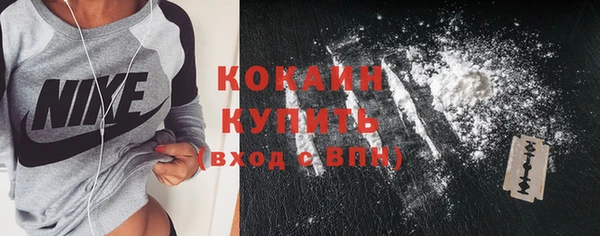 прущие грибы Абинск