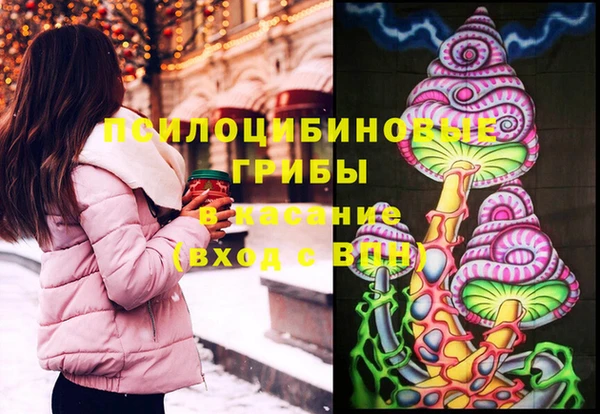 прущие грибы Абинск