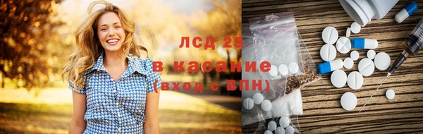 прущие грибы Абинск