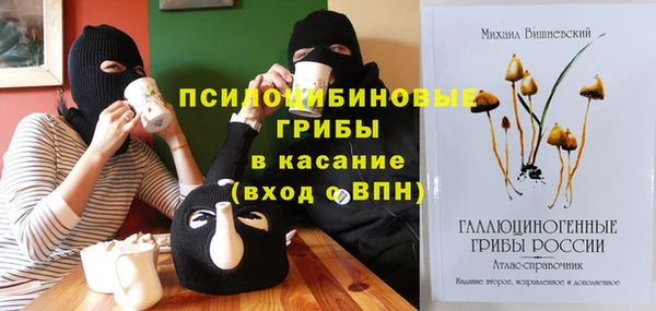 прущие грибы Абинск