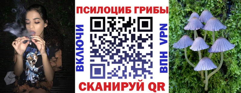 Псилоцибиновые грибы мицелий  hydra маркетплейс  Рыльск  купить  цена 